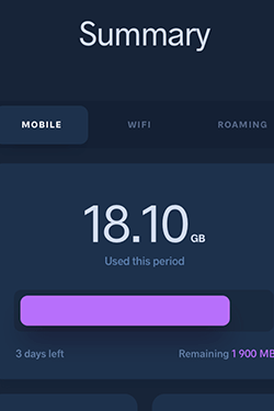 Hosting Company Layout Preview